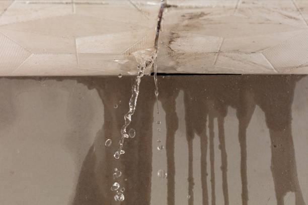 Professional Water Damage Repair technician working in Decker, MI